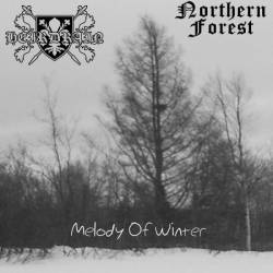 Northern Forest : Melody of Winter